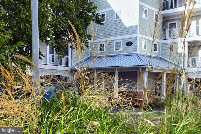 33580 Windswept Dr #4203, Millsboro