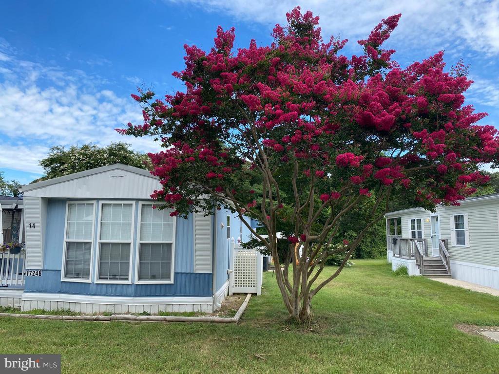 17248 Pine Water Dr, LEWES