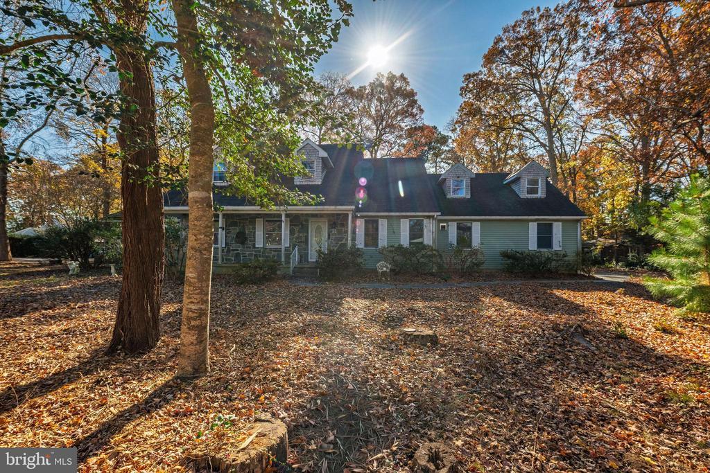 31044 Sycamore Dr, LEWES