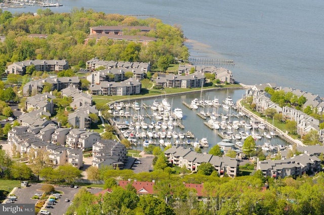2010 Quay Village Ct #101, Annapolis