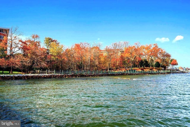 7101 Bay Front Dr #301, Annapolis