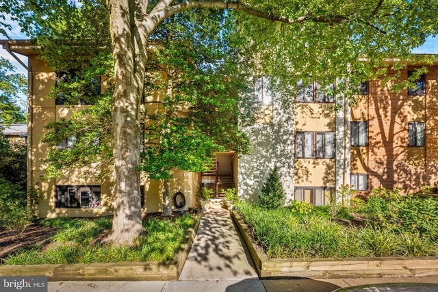 17 Hamill Rd #f, Baltimore