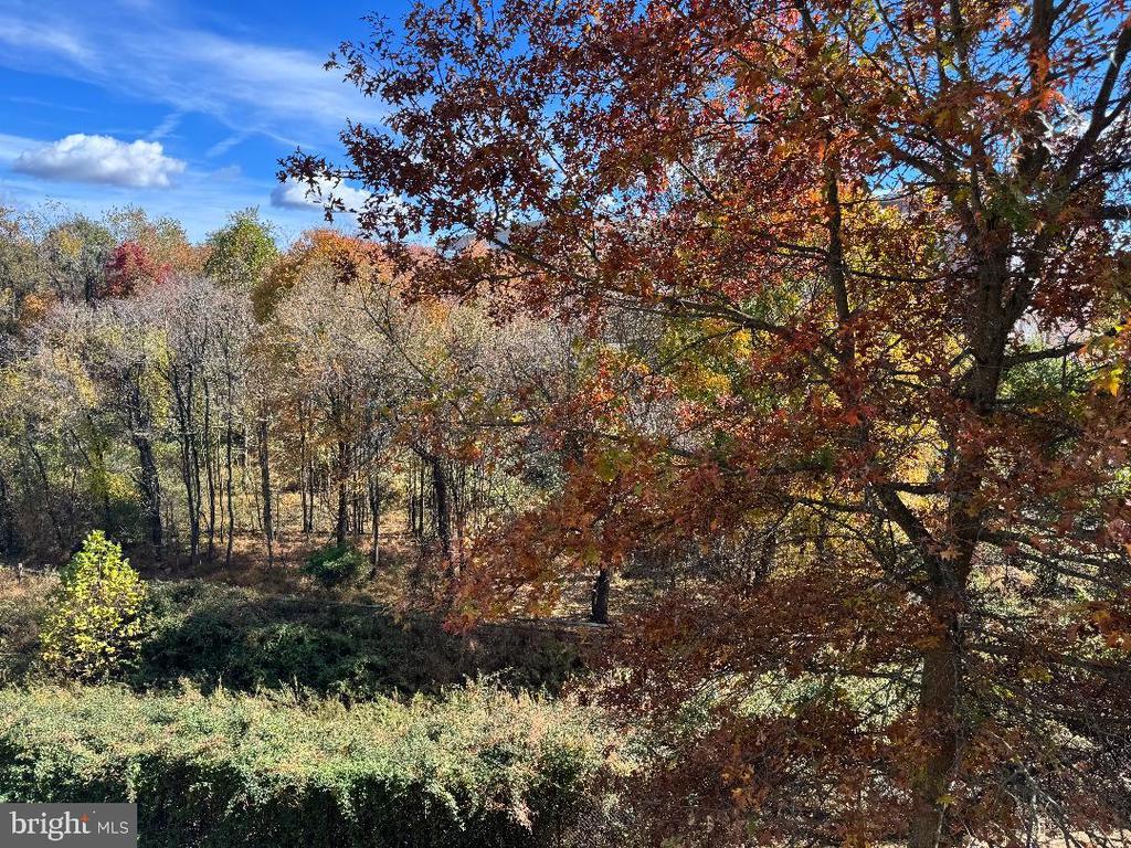 9473 Ashlyn Cir #9473, OWINGS MILLS