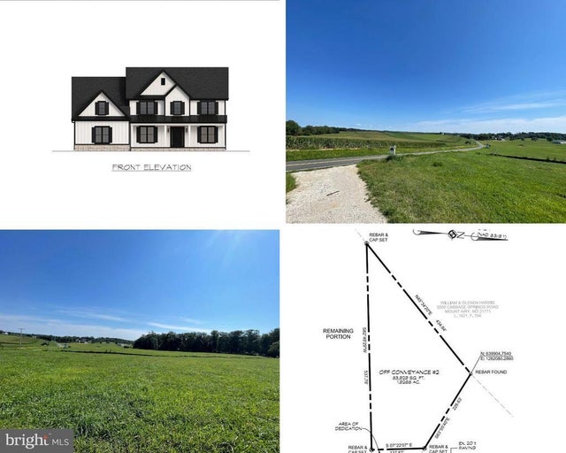 Cabbage Spring, Mount Airy