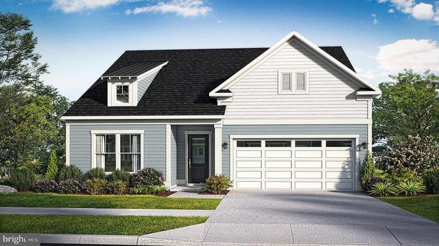 Tbb Marsh Elder Rd #latitude, Cambridge