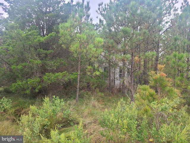 1736 Crocheron Rd, Bishops Head