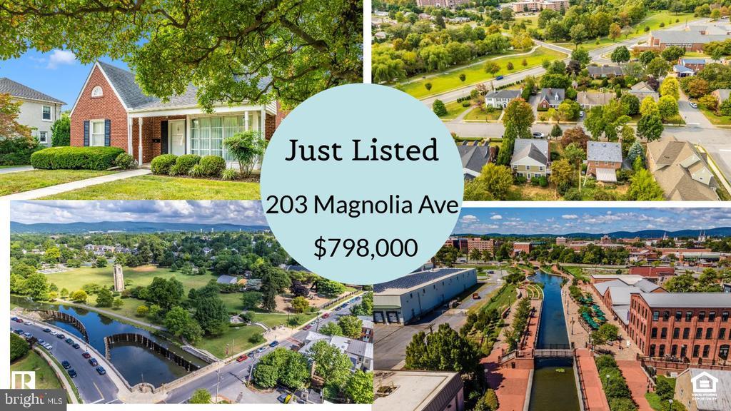 203 Magnolia Ave, FREDERICK