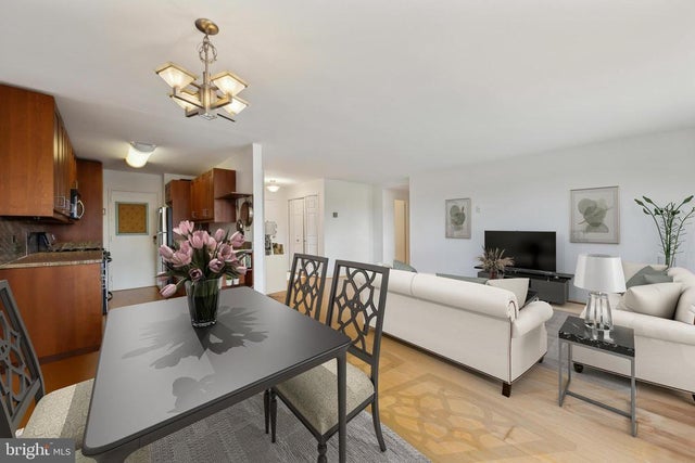 1900 Lyttonsville Rd #1017, Silver Spring