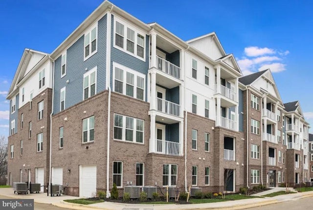 4003 Seaside Alder Rd #0102 - Aster, Bowie