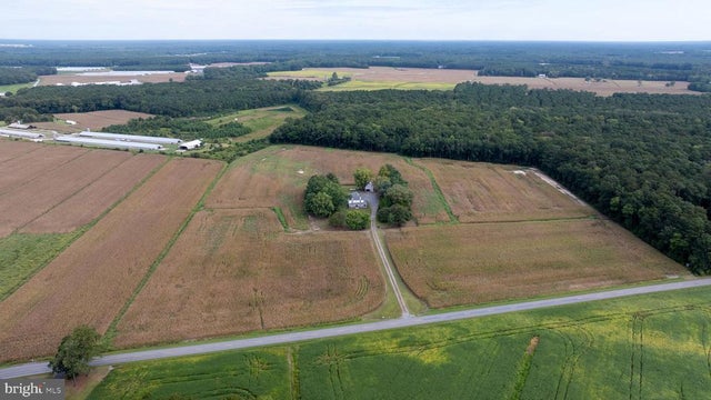 3557 Sheephouse Rd, Pocomoke City