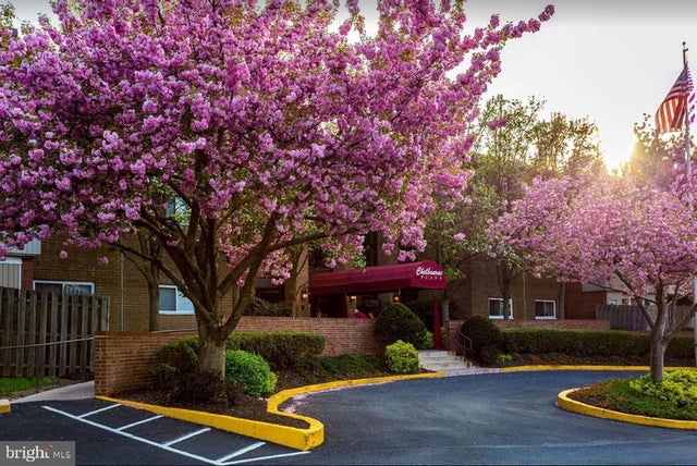 46 Township Line Rd #215, Elkins Park
