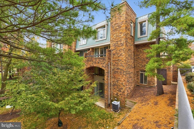 1667 S Hayes St #1, Arlington