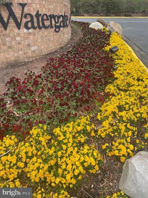 309 Yoakum Pkwy #1809, Alexandria