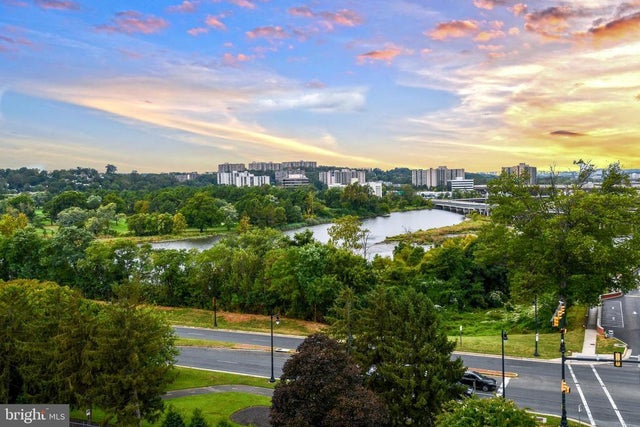 1250 S Washington St #816, Alexandria