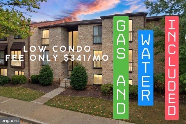 2042 Royal Fern Ct #1b, Reston