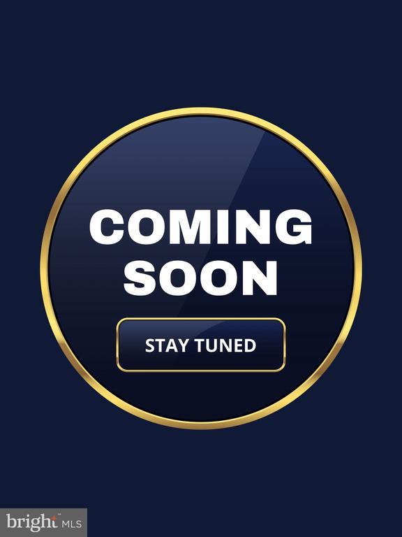 14785 Green Park Way, CENTREVILLE