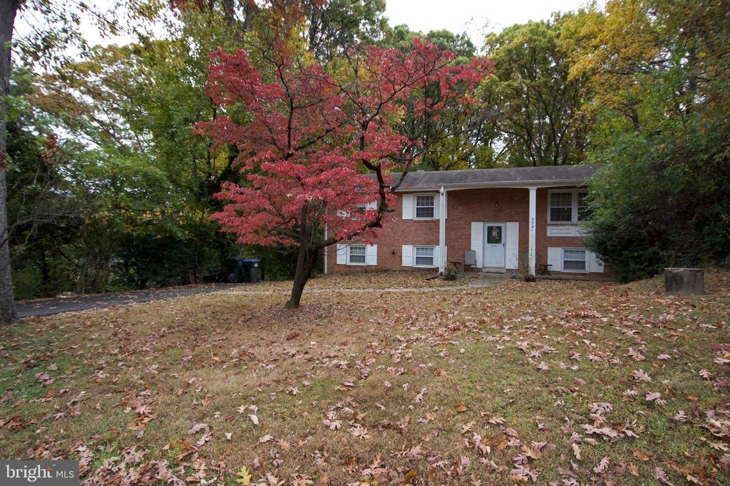 9921 Woodrow St, VIENNA