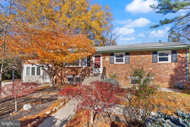 4211 Downing St, Annandale