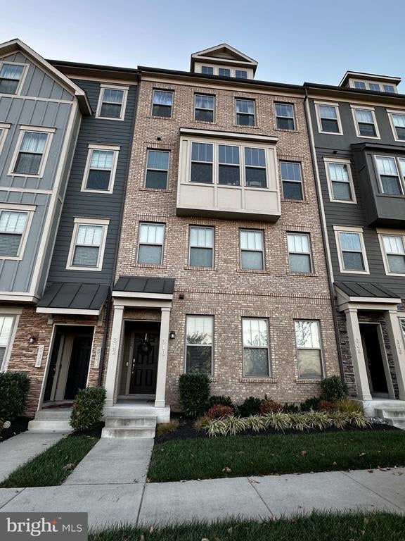 312 Petite Sirah Ter Se, LEESBURG