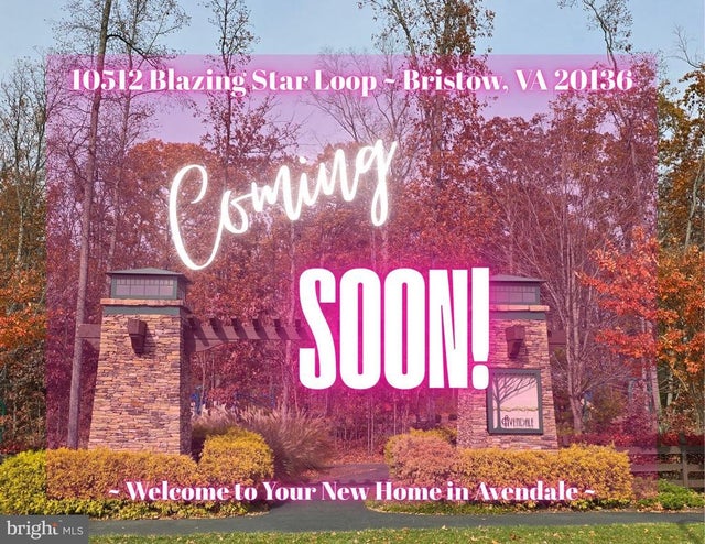 10512 Blazing Star Loop, Bristow