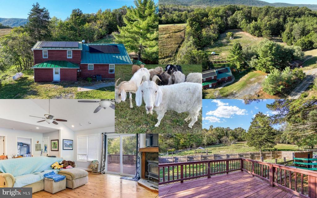 100 Wolfs Ln, FORT VALLEY