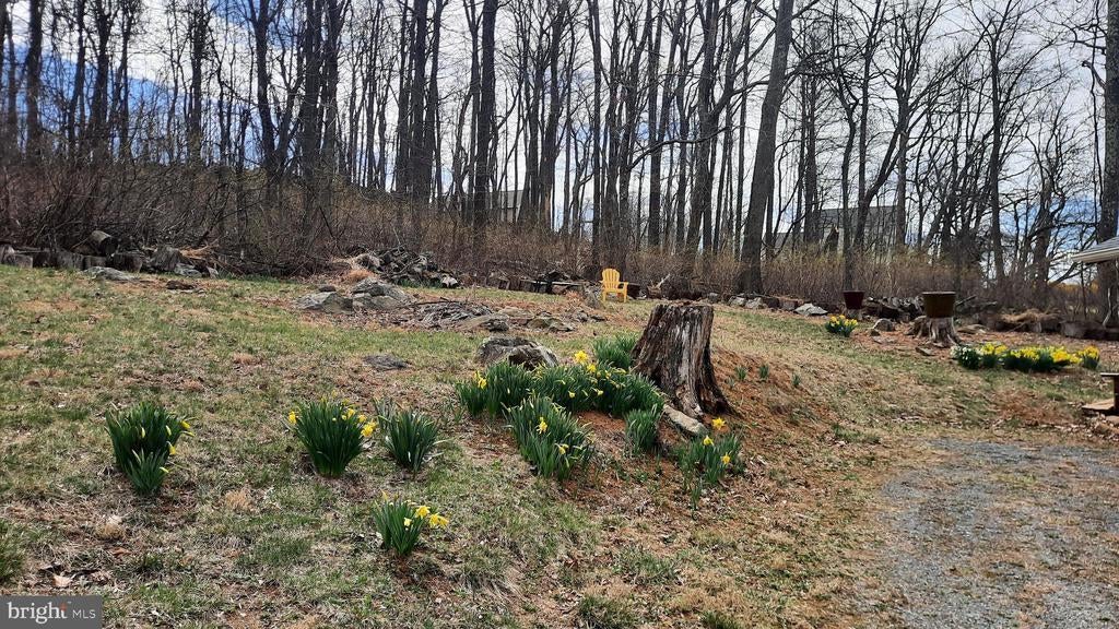 Listing photo for 2478 High Top Rd, LINDEN, VA