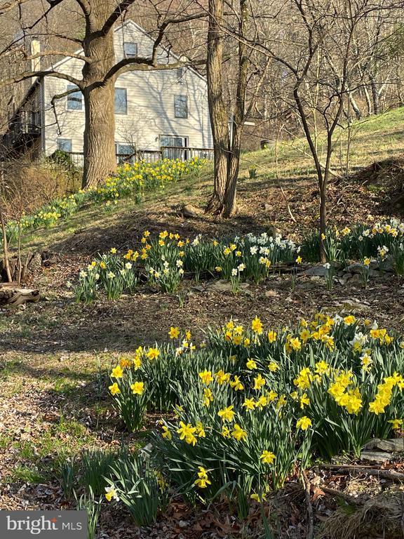 236 Piedmont Orchard Rd, Linden