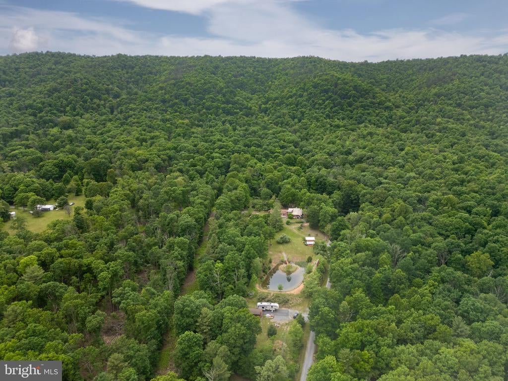 289 Cottonwood Dr, MATHIAS WV MATHIAS Cabin Homes For Sale