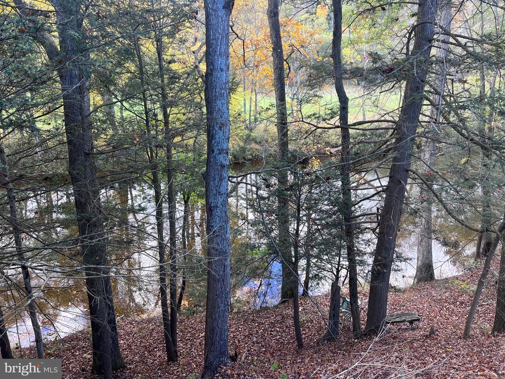 327 Foggy Bottom Ln, BERKELEY SPRINGS WV BERKELEY SPRINGS Cabin Homes