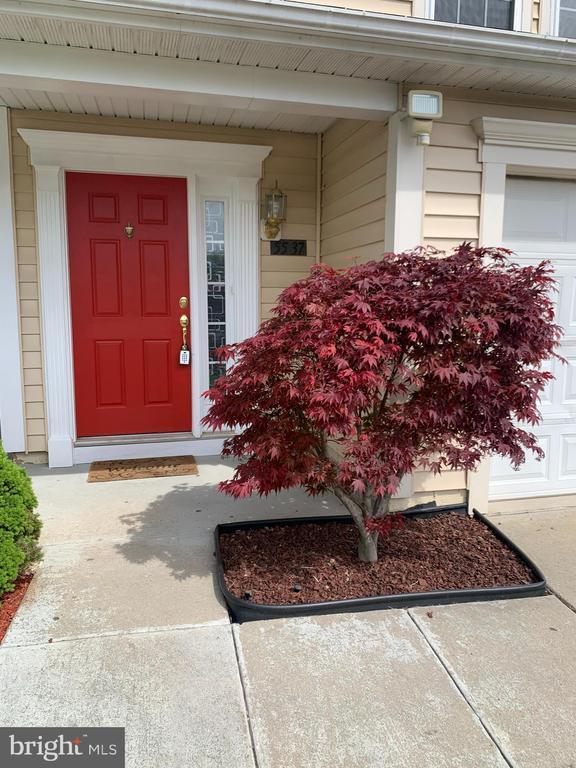 5537 Upper Mill Ter N, Frederick