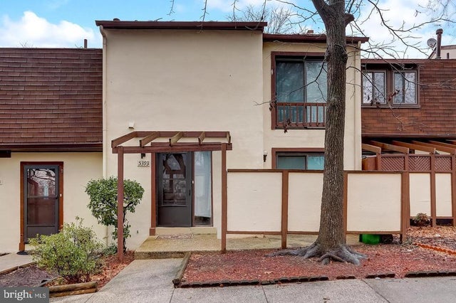 5393 White Mane, Columbia