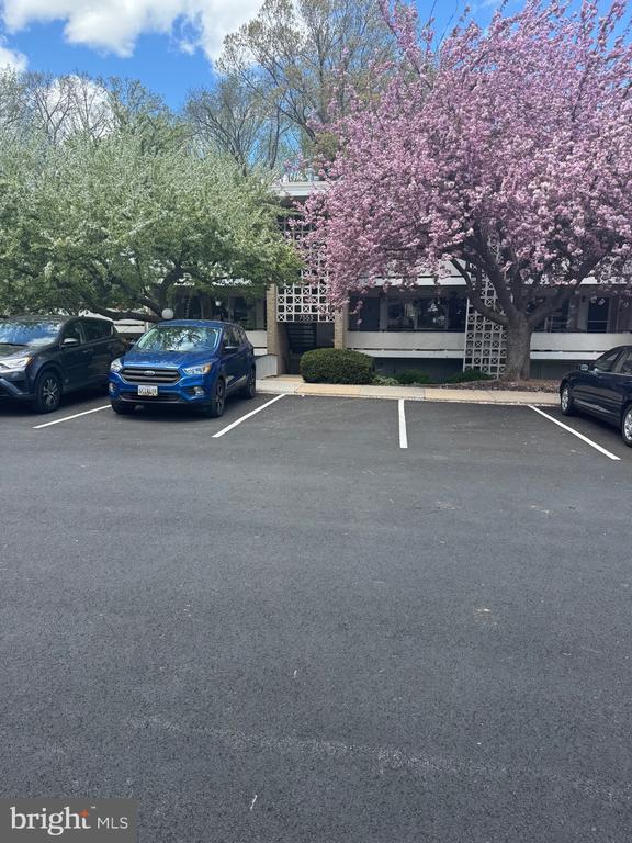 7553 Spring Lake Dr #7553-d, Bethesda