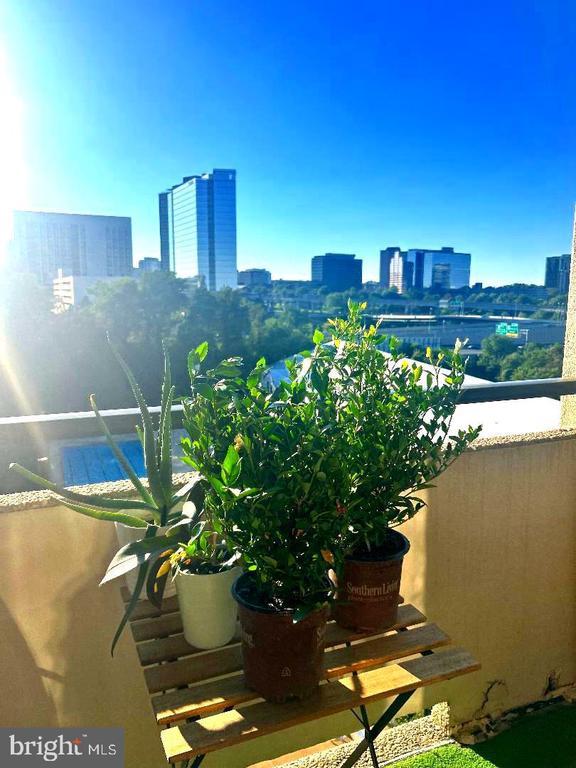 1800 Old Meadow Rd #1609, Mclean