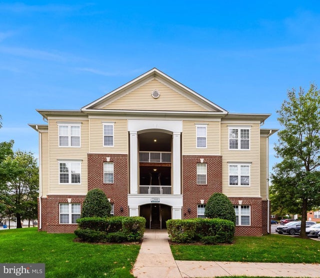 22668 Blue Elder #102, Brambleton