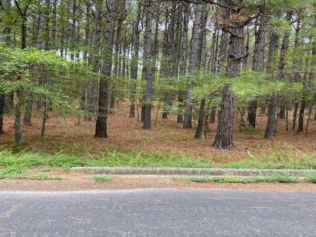 12 Fiesta Way, Hot Springs Village