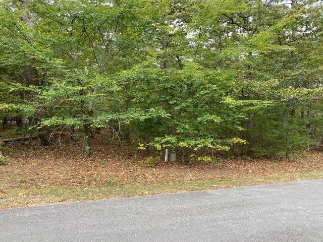 17 Loyola Circle, Hot Springs Village