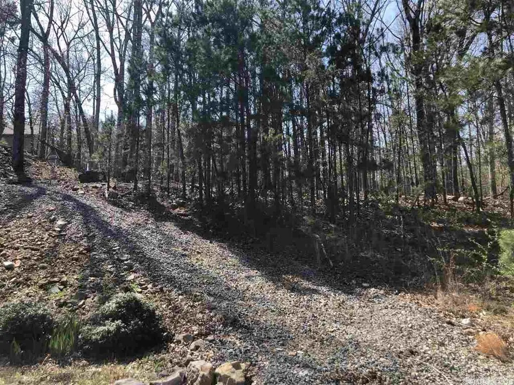 Lot 93 Chelsea Rd, Little Rock