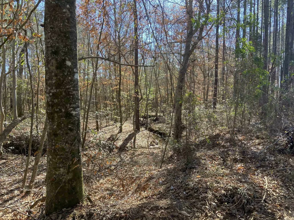 Boyd Road, Texarkana