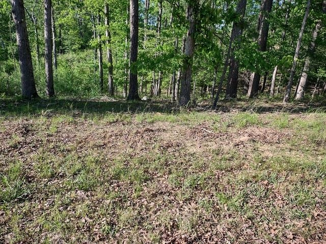 825 Independence, Hot Springs