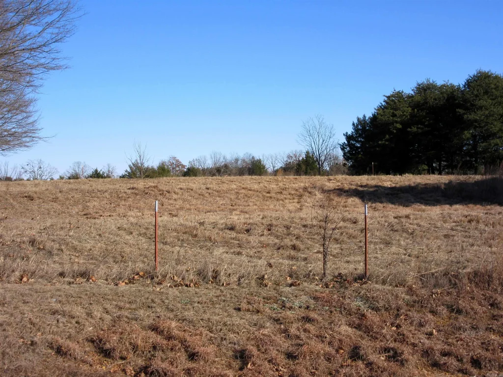 0000 Galley Lane, Guy