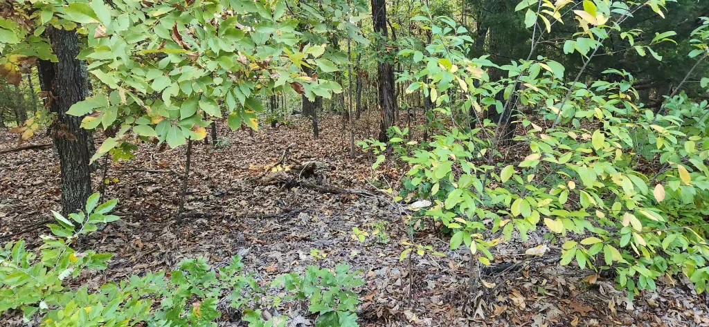 9 Konawa Dr Drive, Cherokee Village