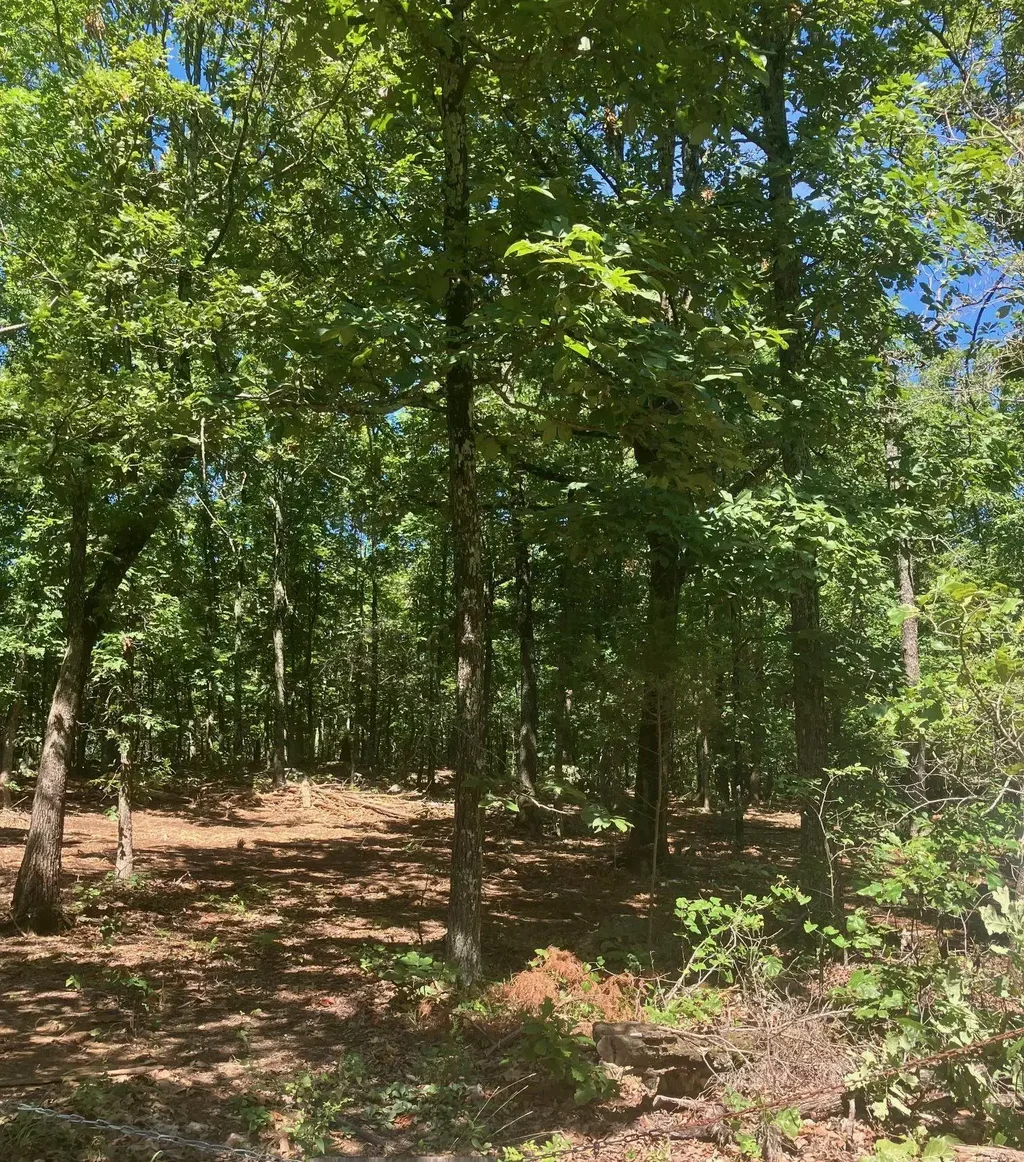 605 Lone Oak Road, Williford