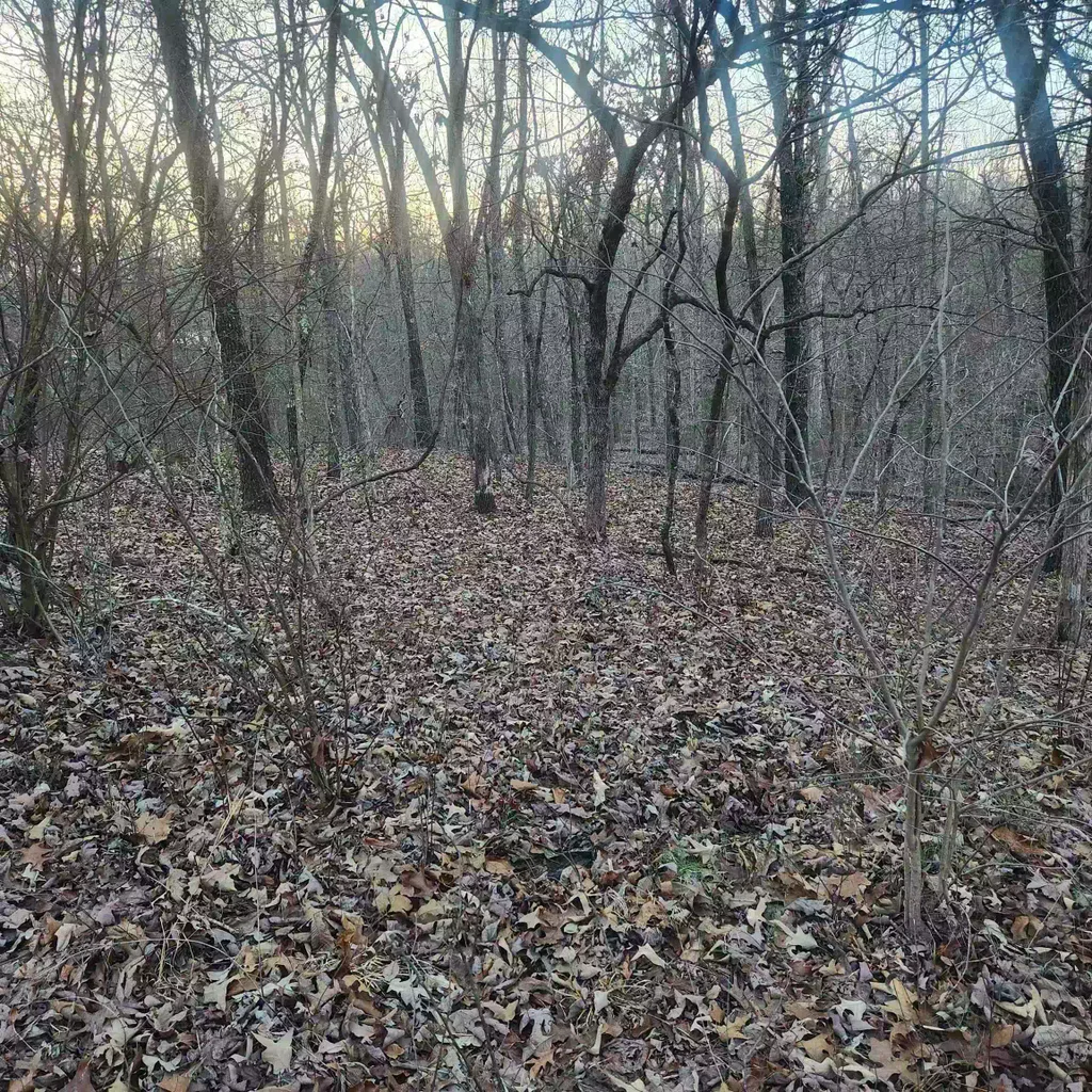 L-08, B-24 Piegan Drive, Cherokee Village