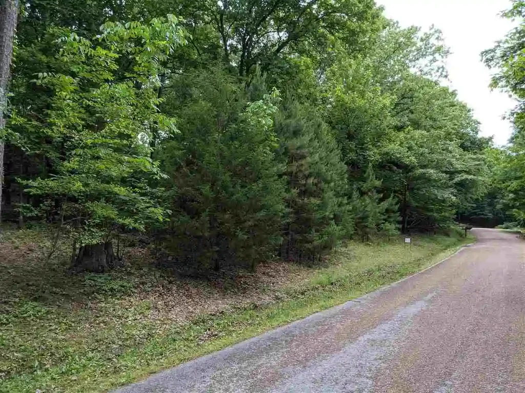 Lot 1 Lakeland Addition, Heber Springs