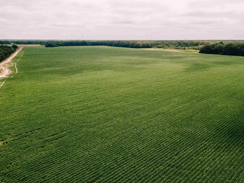 00 N Monroe Street, DeWitt