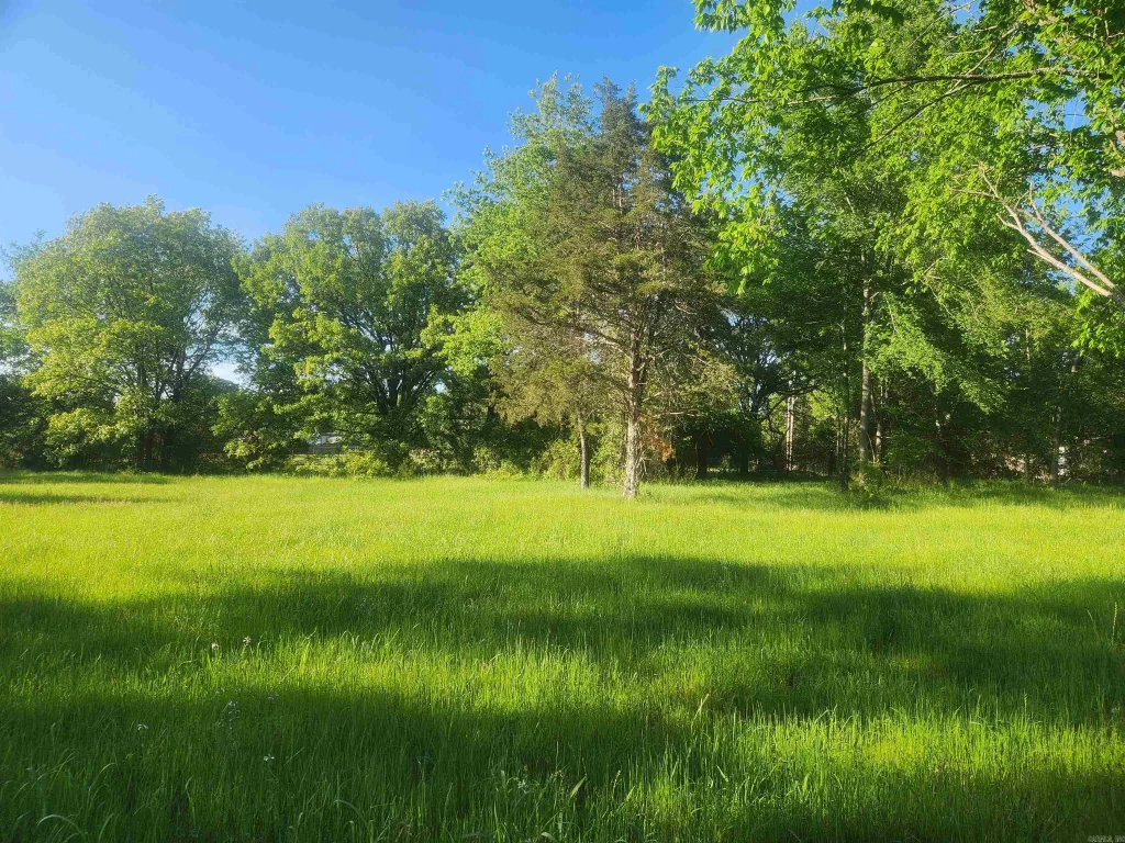 Tract 4 Castleberry Lane, Lamar