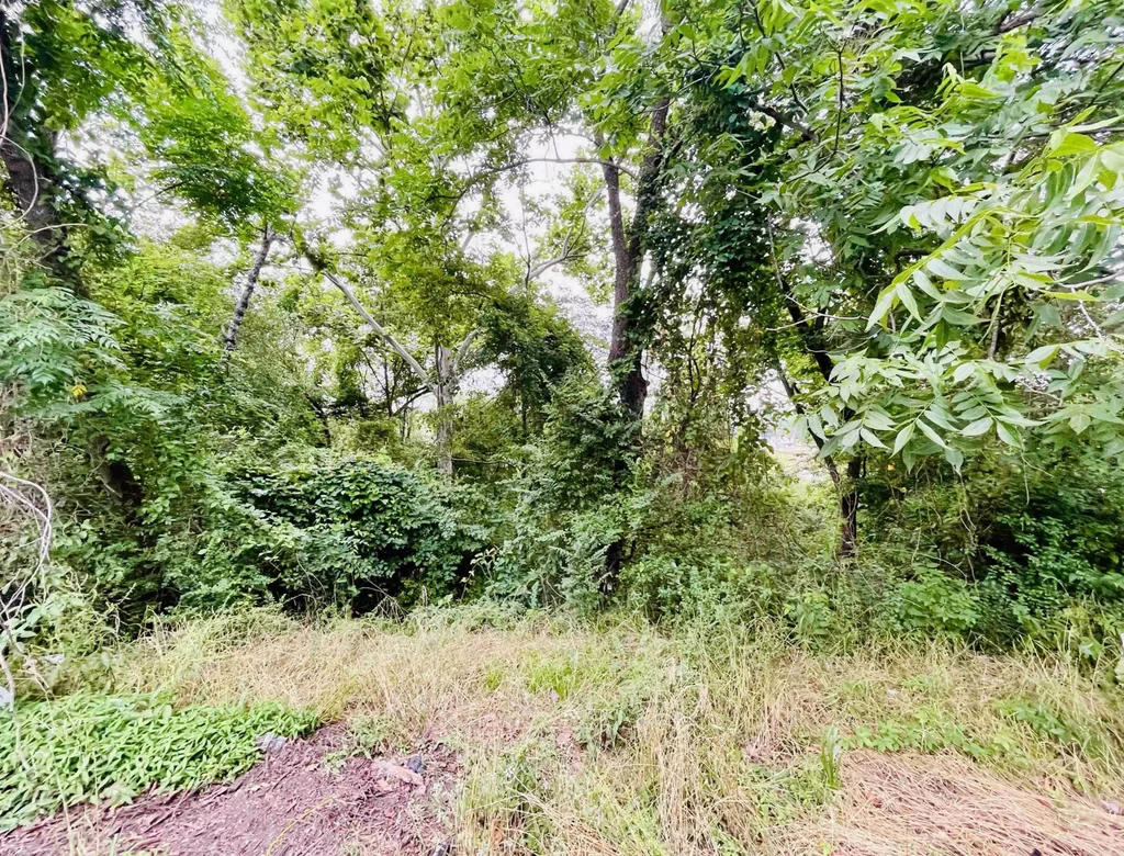 Lots 6 And 7 Amber Lane, North Little Rock