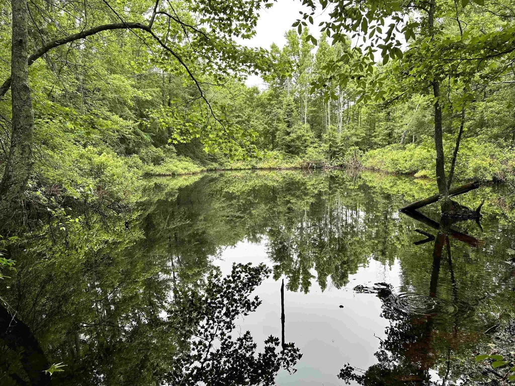 000 Oakdale Road, Lonoke