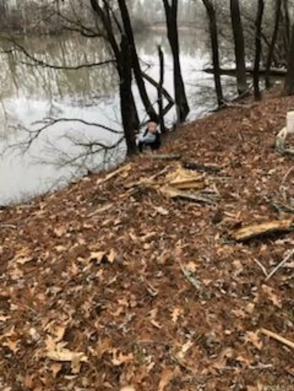 Cypert Bluff Road, Georgetown