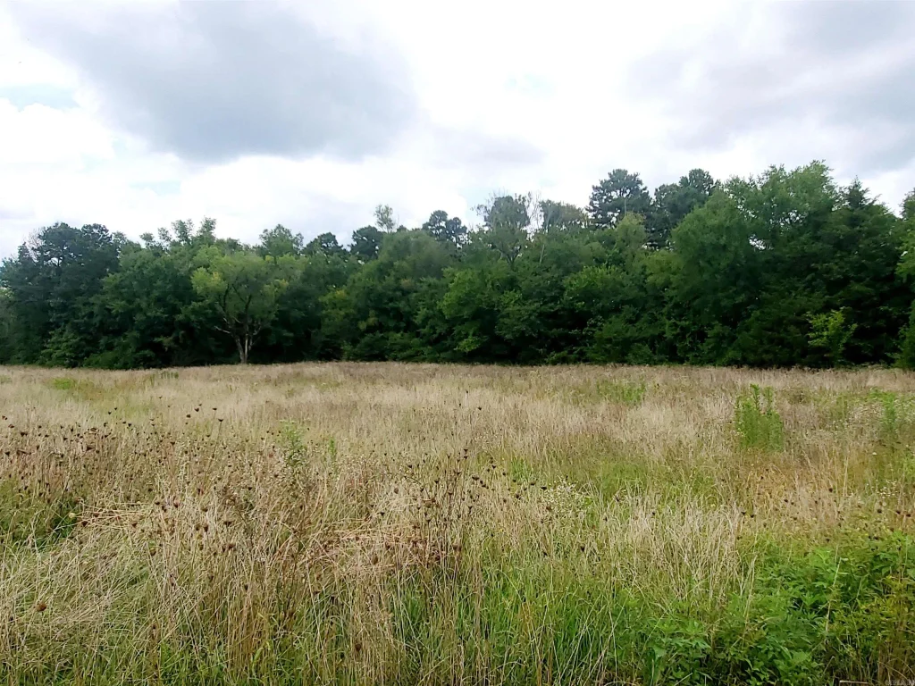 2500 N Highway 71, Mena